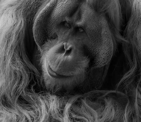 Huge+Facials Photos, Download The BEST Free Huge+Facials Stock Photos