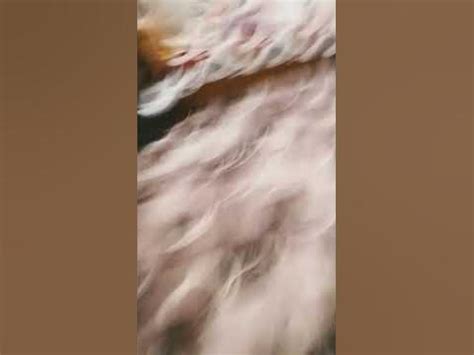 мне так понравилось как ты пытался изгонять меня - YouTube