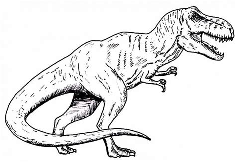 50+ Desenhos de T-Rex para colorir e imprimir | Como fazer em casa