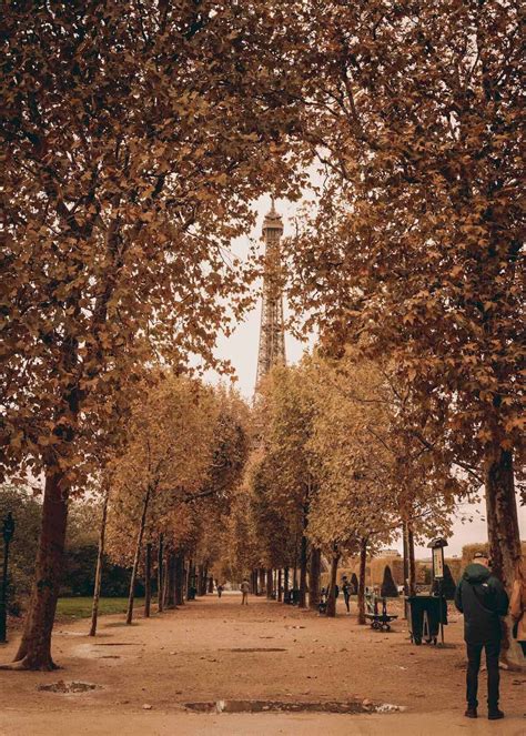 Perfect Paris Autumn Guide: 19 Epic Things to Do in Paris in the Fall