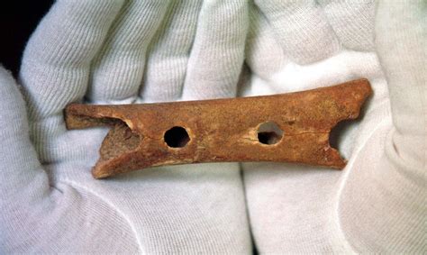 Was "Earliest Musical Instrument" Just a Chewed-Up Bone?