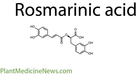 Rosmarinic Acid - Plant Medicine News