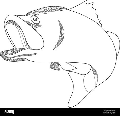 Doodle art illustration of a barramundi or Asian sea bass (Lates ...