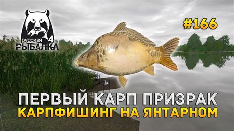 Первый Карп Призрак. Карпфишинг на Янтарном - Русская Рыбалка 4 #166 ...