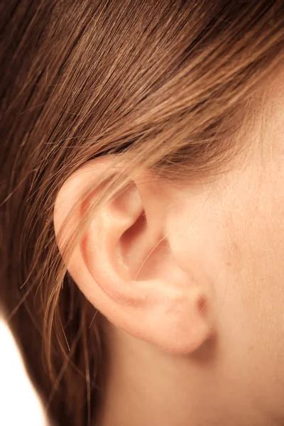 Female ear Stock Photos, Royalty Free Female ear Images | Depositphotos