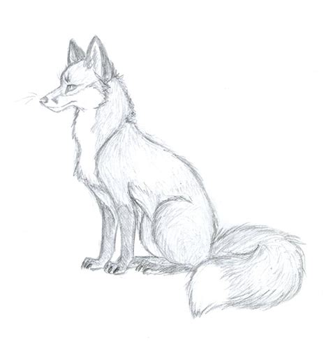 Fox Sketch Easy at PaintingValley.com | Explore collection of Fox ...