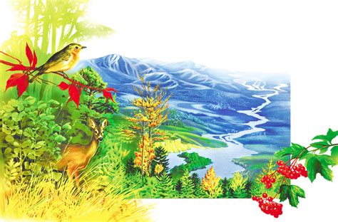 Иллюстрация детская энциклопедия в стиле книжная графика