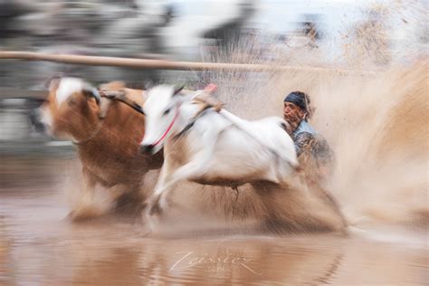 step  step guide  artistic travel photography