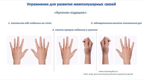 Упражнения для развития межполушарных связей - YouTube