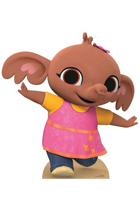 Coco van Bing Officieel 2D-kaartfeestmasker