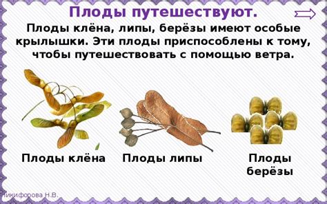 Презентация по окружающему миру для 3 класса "Размножение и развитие ...