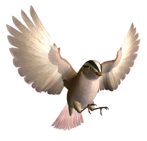 Птица PNG