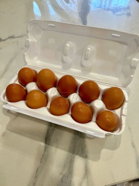 Продам домашние яйца癩 120 рублей десяток讀 | Подслушано в Видлице ...
