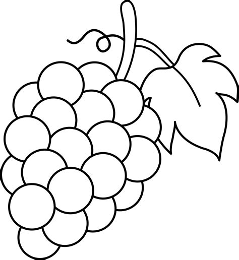 Grapes Black and White Lineart - Free Clip Art