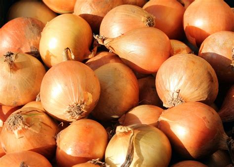 Cebola É Verdura Ou Legumes - Cebola é legume ou verdura? - Marmitex de Sucesso