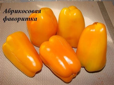 Абрикосовая фаворитка