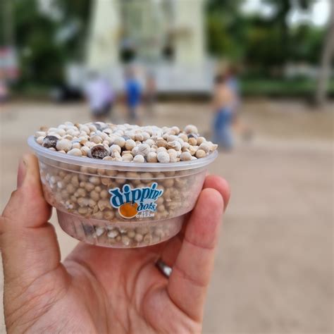 Six Flags Great Adventure | Jackson NJ