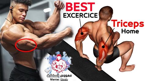 تمارين الترايسبس بدون معدات وفي المنزل كمال الاجسام | Triceps Exercises ...