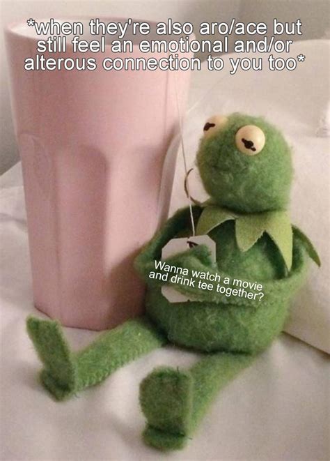 I made a meme about being aro/ace but still feeling emotional/alterous ...