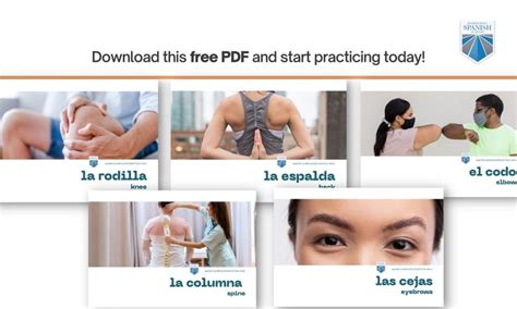 Spanish body parts: vocabulary and idiomatic expressions