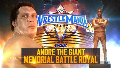 Wwe Andre The Giant Memorial Battle Royal 2024 - Patsy Caitlin