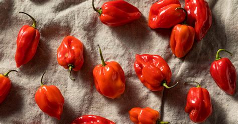 Ghost Pepper VS Habanero: How Are They Different? | HolisticWow