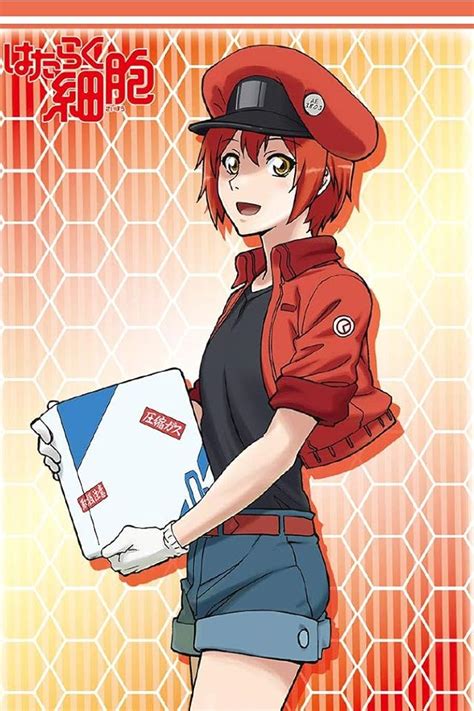kacte
