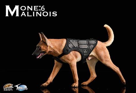 Belgian Malinois With John Wick | Figround