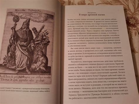 Книга: Древняя магия. От драконов и оборотней до зелий и защиты от ...