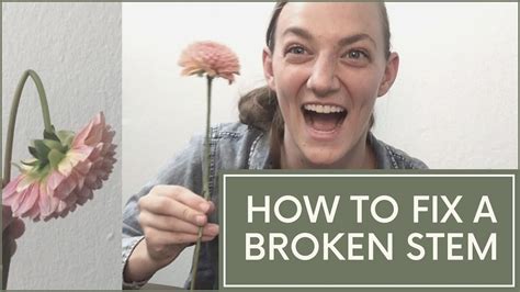 fix  broken stem florists review