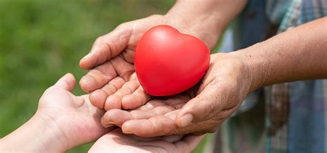 support  charity nfp registration qualita business accounting