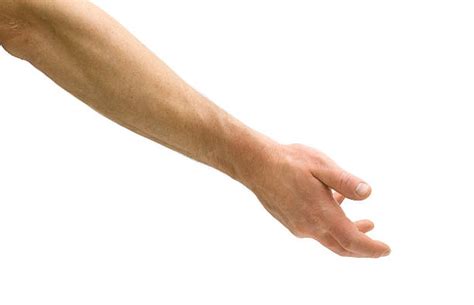 underhand grip stock  pictures royalty  images istock