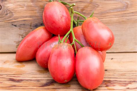 СТАКАНЫ РОЗОВЫЕ МИНУСИНСКИЕ — BTomate