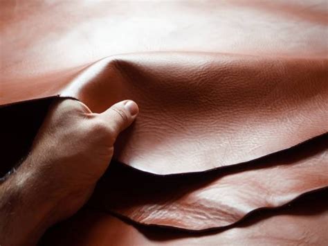 hand touch leather stock  pictures royalty  images