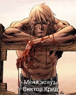 Книга "Меня зовут Виктор Крид (СИ)" - Француз Михаил - Читать онлайн ...