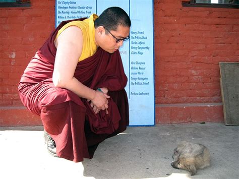 growing   rinpoche rinpoche jersey  tara