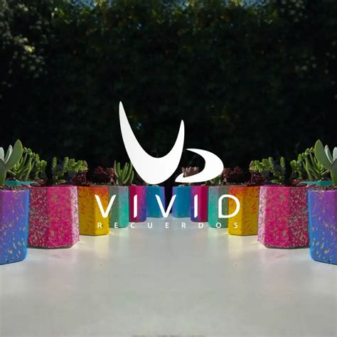 vivid portafolio grupo qs agencia de marketing digital