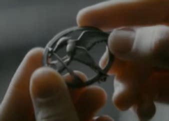 Tribute token | The Hunger Games Wiki | Fandom