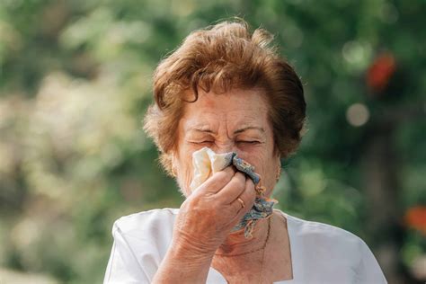 Spring Fever: Seven Seniors Helping Seniors® Allergy Management Tips