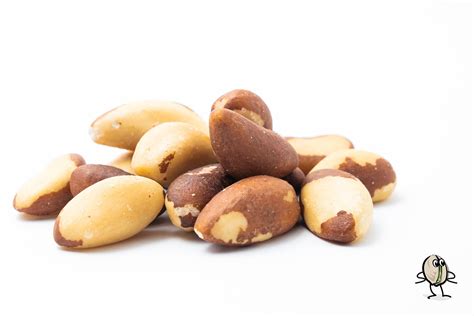 Brazil Nuts - Etsy