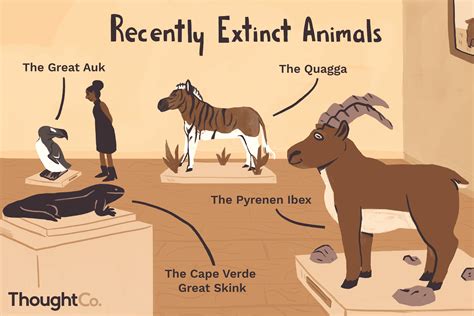Names Of Extinct Animals Extinct Animals With Names And Pictures Images