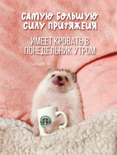 Пожелания доброго утра понедельника