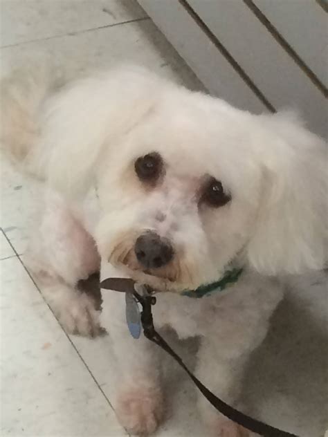 Eco-Pet | Los Angeles CA