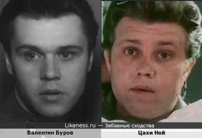 Забавные сходства: похожие знаменитости, звёзды-двойники и известные ...
