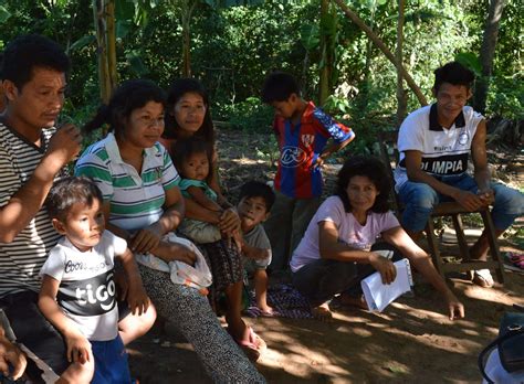 “They are only interested in soy”: how peasant and indigenous women in