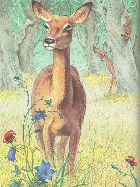 Книга: Бемби - Феликс Зальтен. Купить книгу, читать рецензии | Лабиринт