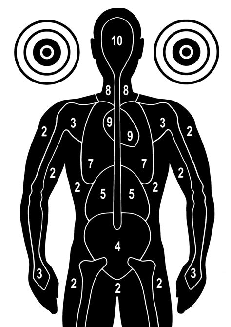 Silhouette with anatomical markings. | free printable shooting targets ...