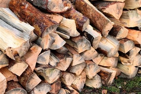 Premium Photo | Stacked logs firewood for the winter wood stove ...