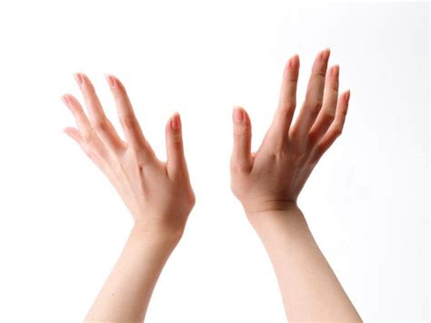 pair  hands isolated   white background  stock photo