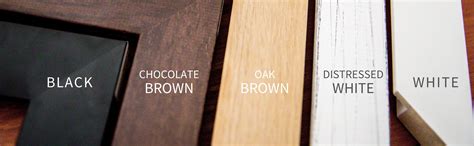 choose  perfect frame colour ragamuffin pet photography